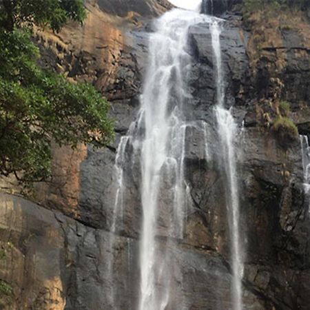 Coastal Grand Mahendravanam - Kolli Hills Zewnętrze zdjęcie